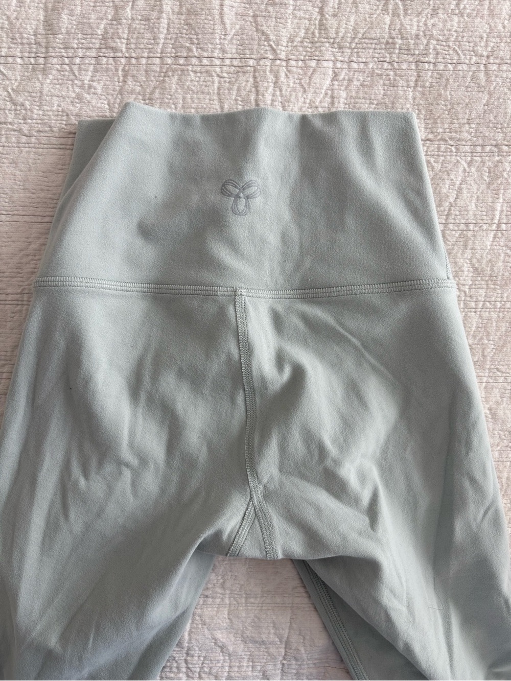 Aritzia TNA High-Waist Light Blue Leggings